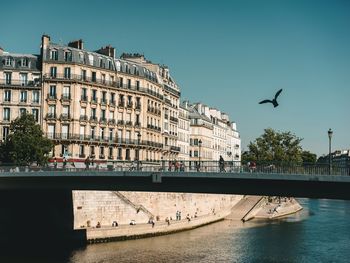 Birds flying over river and buildings in city