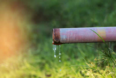 Close-up of water drop on grass