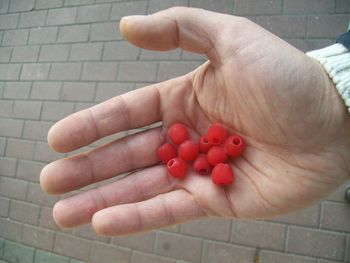 Midsection of person holding strawberries