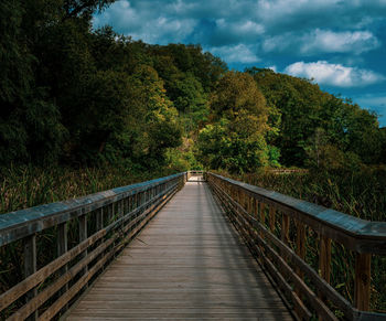 People walking on footbridge