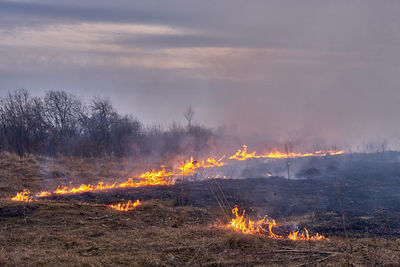 In the spring in the evening, dry grass burns on the field near the road. grassroots natural fire.