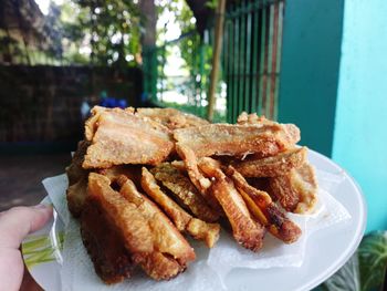 Close-up of hand holding meat