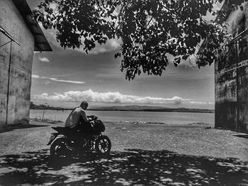 Rear view of a woman sitting on tree