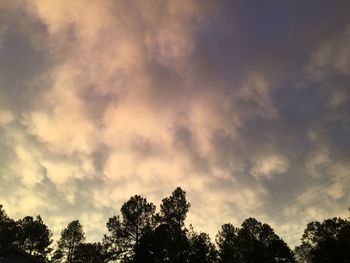 Low angle view of silhouette trees against sky