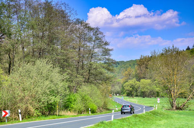 Road amidst trees on field against sky