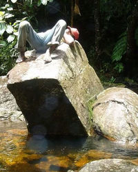 View of horse on rock by lake