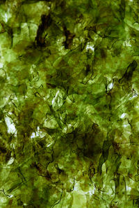 Full frame shot of water