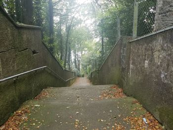 Footpath amidst trees in forest