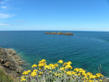 Scenic view of sea against blue sky