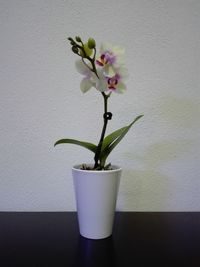 Close-up of flower vase on table at home