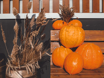 Close-up of orange pumpkins on wood during autumn