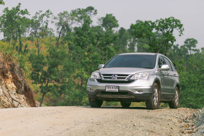 View of car on road amidst trees