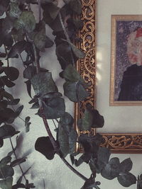 High angle view of flowers on wall at home