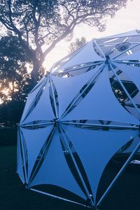 Low angle view of trees against sky