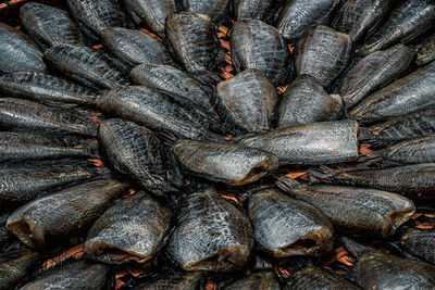 Full frame shot of fish for sale