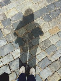 Low section of man standing on floor