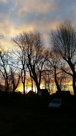 Silhouette of trees at sunset