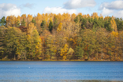 Scenic view of lake against sky during autumn