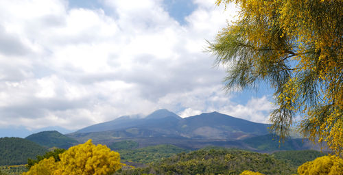 mountain