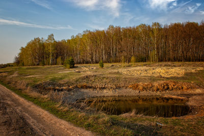 Scenic view of trees on field against sky