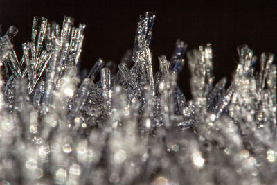 Close-up of frozen illuminated christmas lights