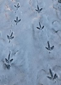 High angle view of footprints in snow