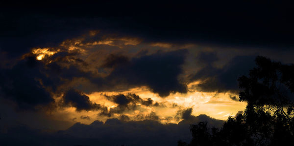 Low angle view of silhouette trees against dramatic sky