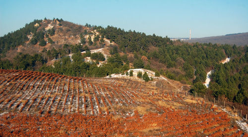 Scenic view of landscape