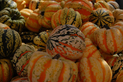 Close-up of pumpkins for sale in market