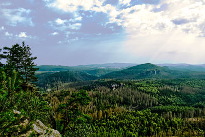 Scenic view of agricultural landscape against sky