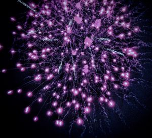 Firework display at night