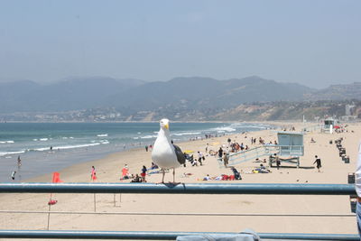 People on beach by sea against clear sky