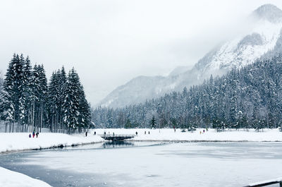 Scenic view of the winter landscape in the alps, slovenia. snowcovered pine trees.