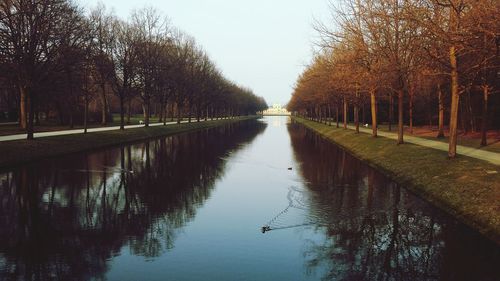 Reflection of trees in water