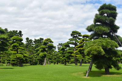 Trees on landscape against sky