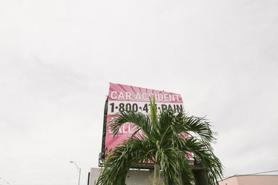 Low angle view of palm tree against sky