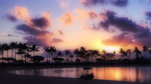 Palm trees at sunset