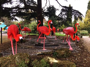 View of birds in park