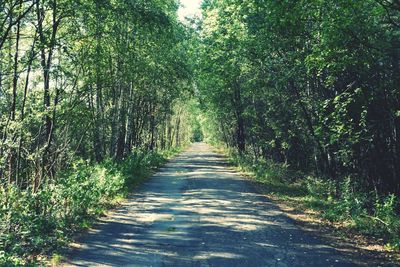 Empty road along trees in forest