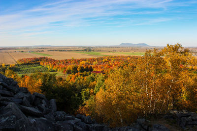 Scenic view of landscape and autumn trees against sky