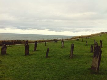 Scenic view of grassy field against cloudy sky