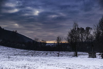 Trees on snow covered field against sky