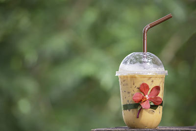 Close-up of drink against blurred background