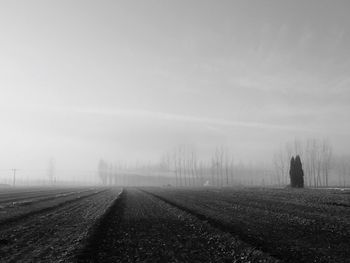 Road passing through foggy weather