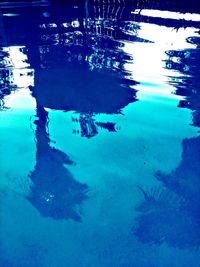 Reflection of trees in sea