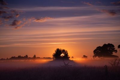 Scenic view of sunset