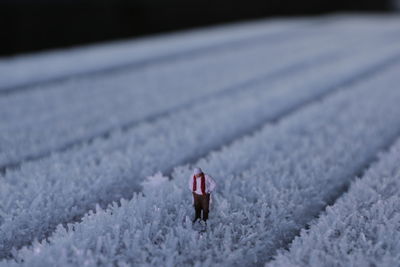 Close-up of figurine on snow flake on ground
