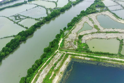 Aerial view of fish farm near the bengawan solo river, gresik, indonesia. top view.