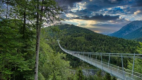 Scenic view of road amidst trees against sky