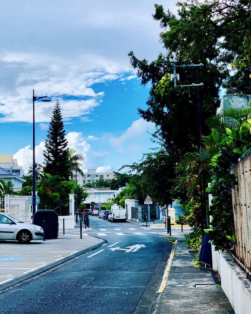 EMPTY ROAD ALONG TREES AND BUILDINGS IN CITY